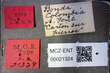 Media type: image;   Entomology 21324 Aspect: labels